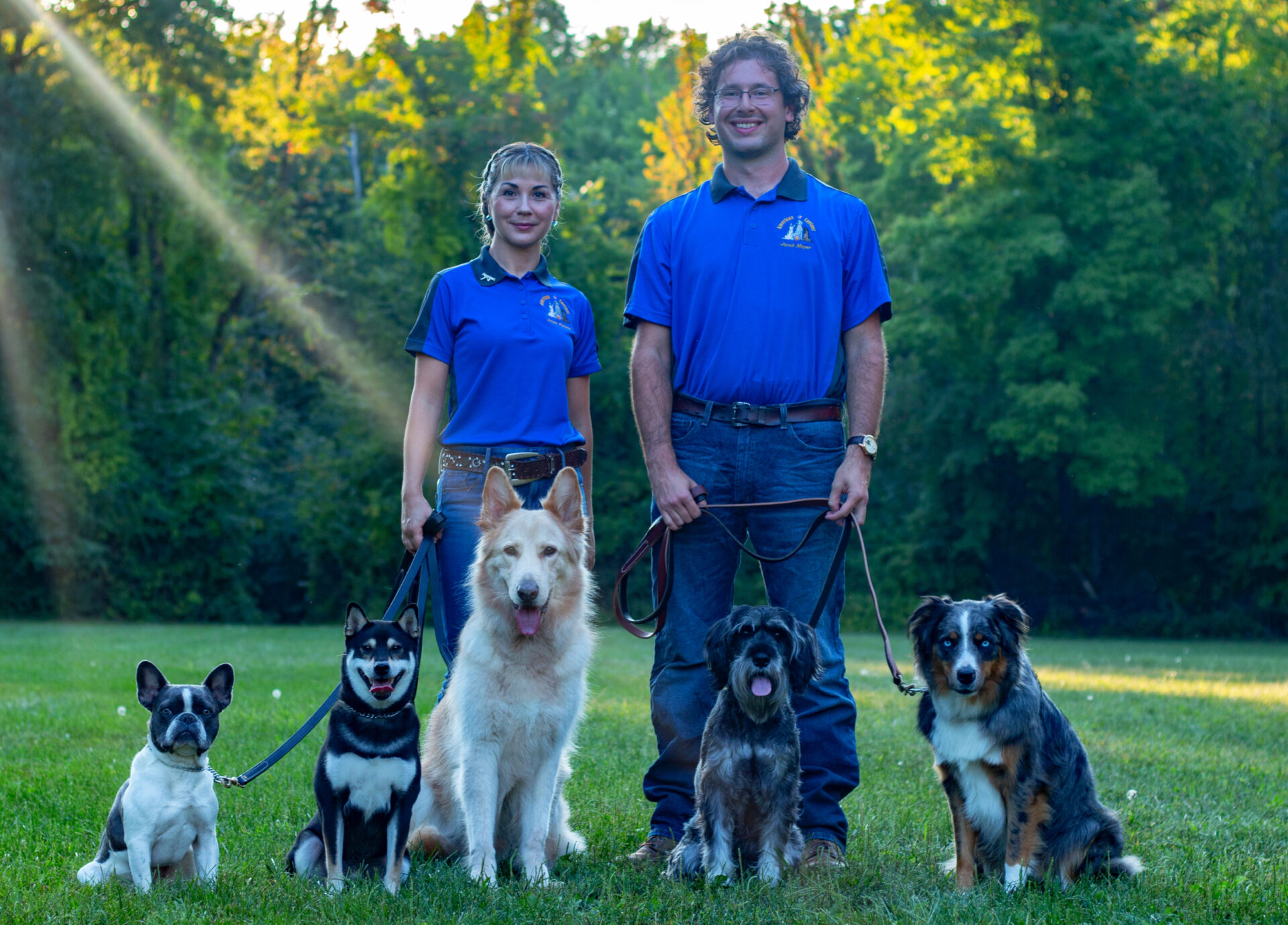 How To A Qualified Dog Trainer
