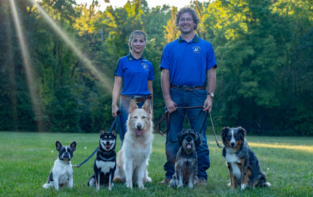 Professional Dog Training, Behavioral Modification & Obedience