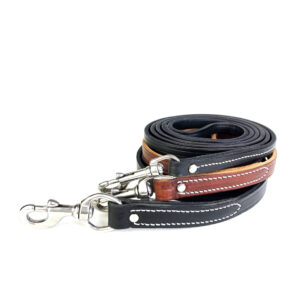 Professional Grade Genuine Leather Dog Training Leash - 6 ft
