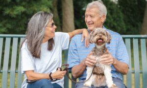Dog Training Program