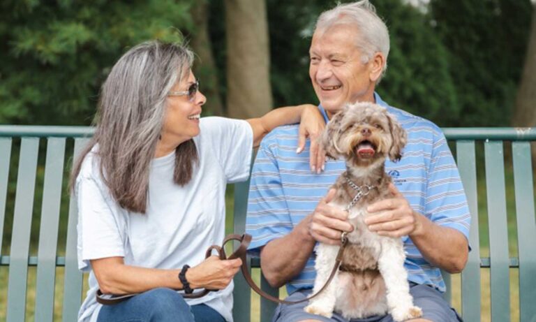 Dog Training Program