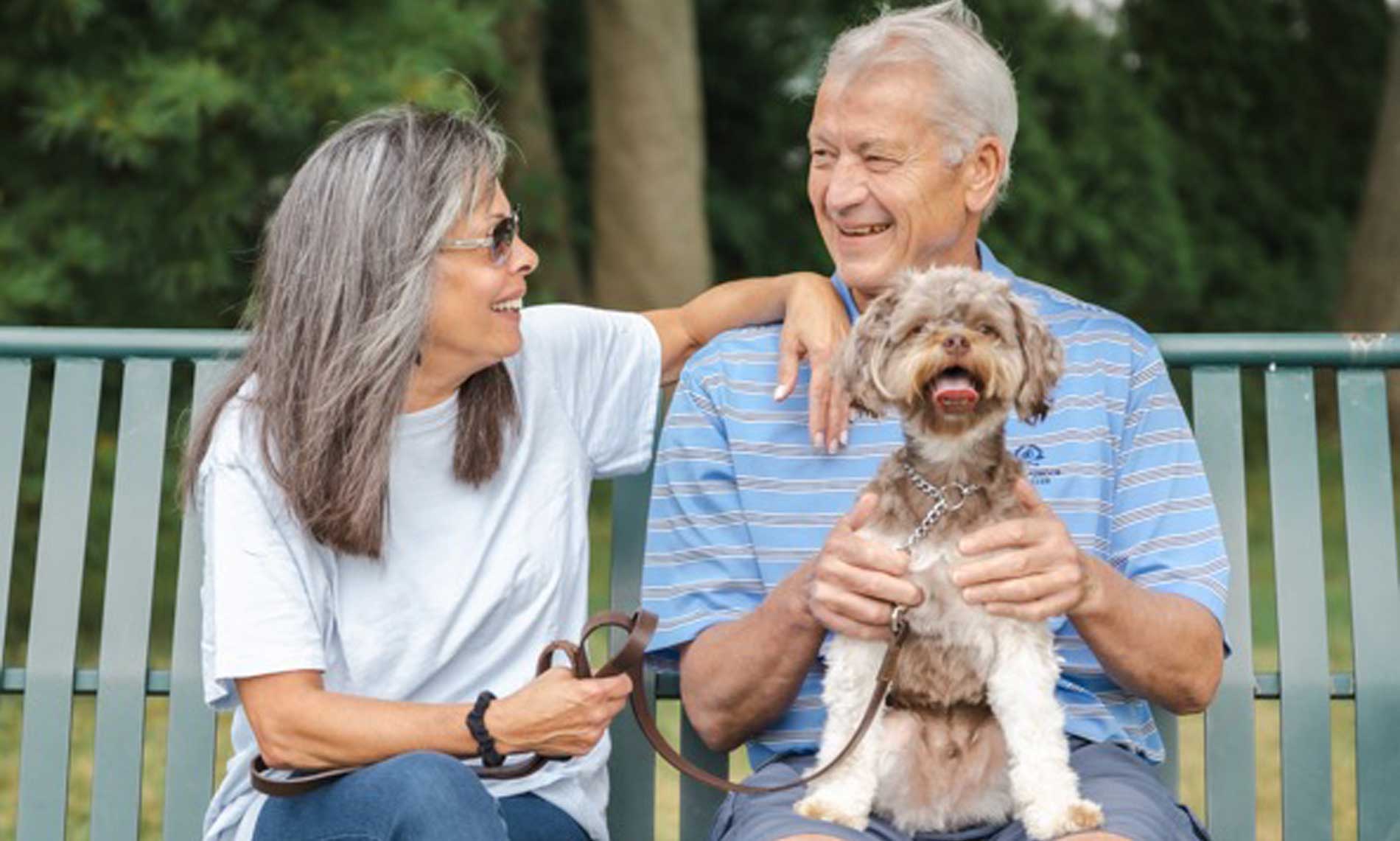 Dog Training Program