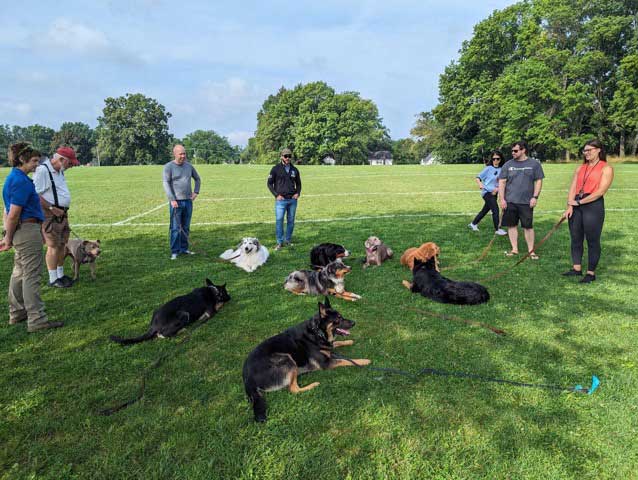 Private Group Dog Training Classes