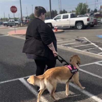 Service-Dog-Training