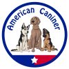 American Caniner